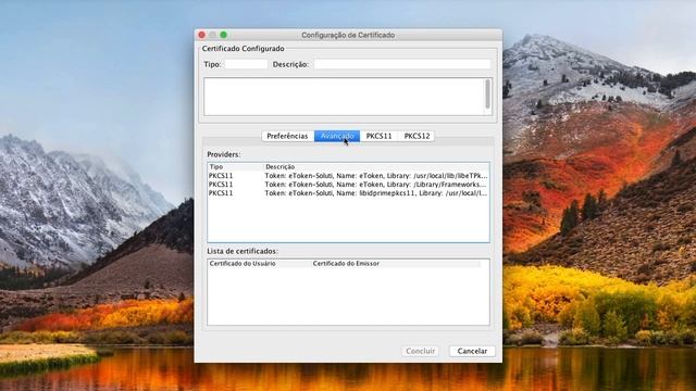 Usar o Certificado Digital e Projudi no seu MacOS não é mais um Problema смотреть онлайн