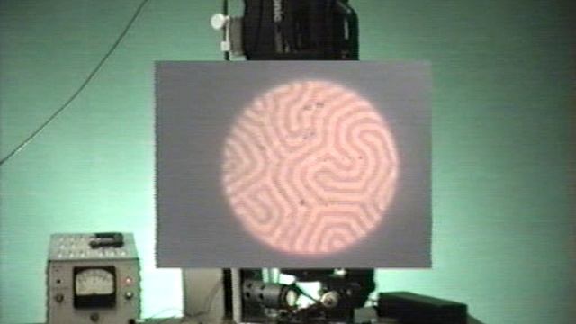 ДОМЕНЫ.ФИЗИКА.ХРОНИКА