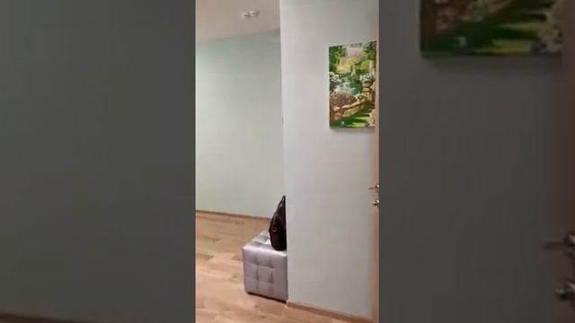 Видное, ул. Березовая, д.16,3-комнатная квартира, 75 м² смотреть онлайн