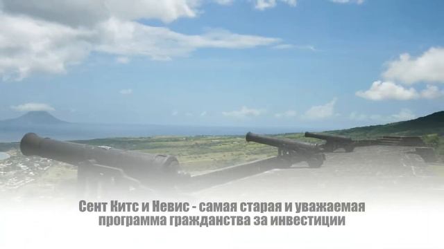 Экономическое гражданство смотреть онлайн