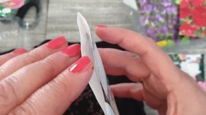 Душистый горошек. Как выбрать. Выращивание  Начинаем с семян