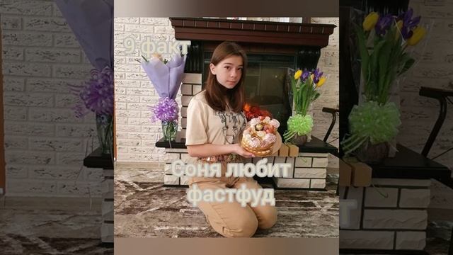 Котики и Собачки в Эфире