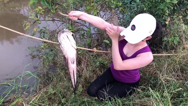 Fishing With Huge Jackknife Clams, Giant Mantis Shrimps For Monster Snakehead Fish