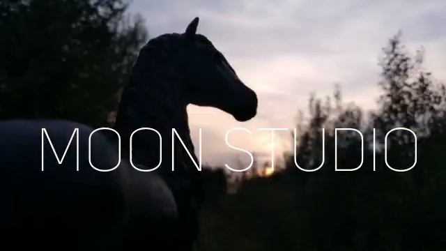 Фотографии лошадей шляйх|Moon Studio смотреть онлайн