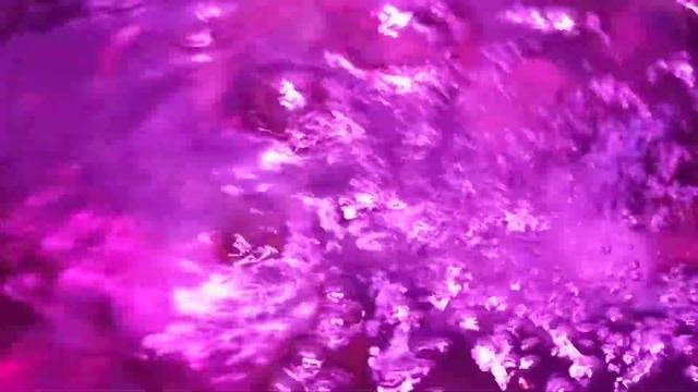 alternanthera reineckii mini plants in water dragon tank смотреть онлайн