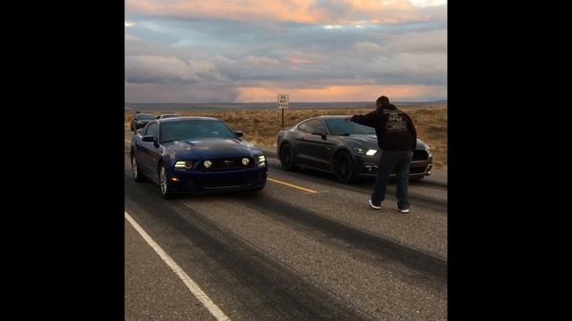 2014 Mustang GT vs 2015 Mustang GT смотреть онлайн