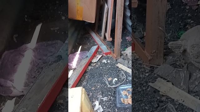 Спасение котёнка, осложняется. смотреть онлайн