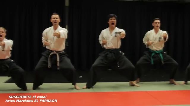 TAIDO EL ARTE MARCIAL MODERNO JAPONES смотреть онлайн