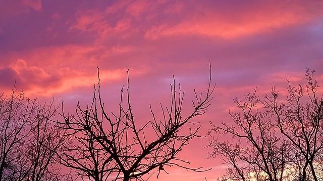 клип HOME BLACK CAT закат последний вечер января 2022.mp4 смотреть онлайн