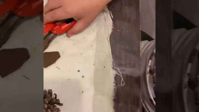 Поделка своими руками из природного материала смотреть онлайн