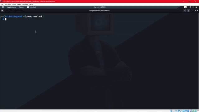 OSINT investigation using Sherlock смотреть онлайн