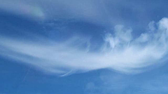 Стихотворение "Для внучки". Валентина Чайковская. смотреть онлайн