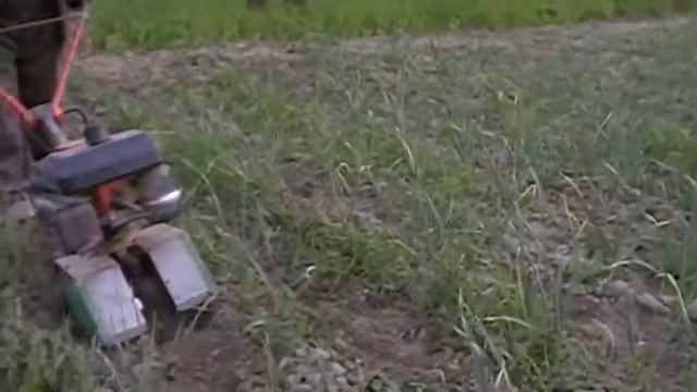 Озимый чеснок; Вторая междурядная культивация мотофрезой Jikov; 25.05.2020 смотреть онлайн