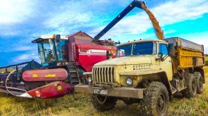 Палессе GS-12  Молотим пшеницу, небольшие поломки продолжаются.