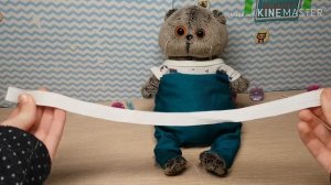 Штаны для Басика/МК/Basik TV