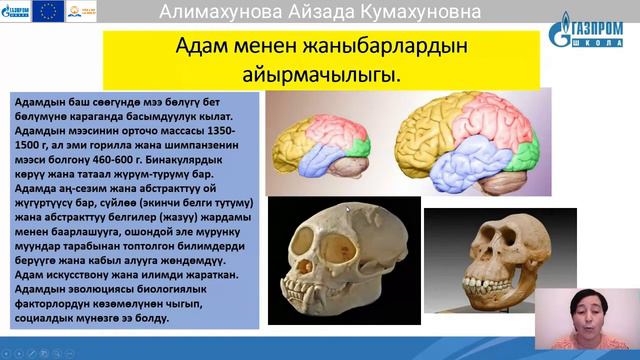 8 класс, Биология, Алимахунова Айзада Кумахуновна. смотреть онлайн