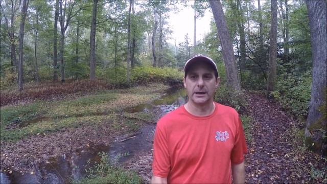 Cedarville State Forest, MD - Blue Loop смотреть онлайн