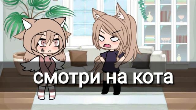 //Meme//ты опять всю ночь смотрела аниме? смотреть онлайн