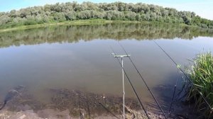 ЛЮТЫЙ КАРАСЬ ХВАТАЕТ И БЕЖИТ! Рыбалка на Дону в Воронежской области!