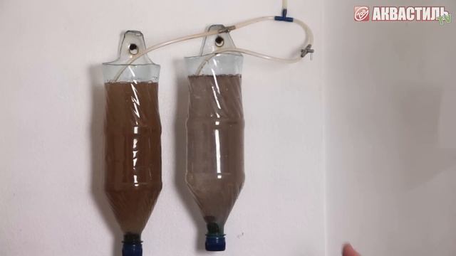 Артемия Салина (Artemia salina) - Стартовый корм для мальков аквариумных рыбок. Аквариумистика. смотреть онлайн