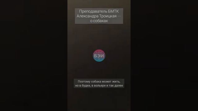 Преподаватель БМТК с лекцией о собаках смотреть онлайн