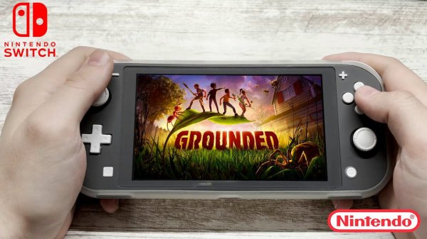Grounded Nintendo Switch Lite Gameplay