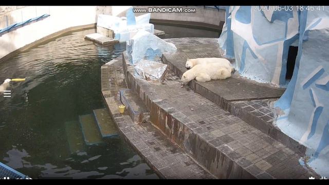 Хватит спать! Я играть пошла! 03.06.2020 смотреть онлайн