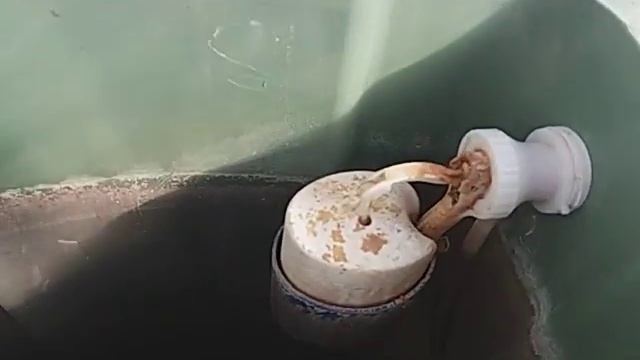 Автоматизированный полив в теплице смотреть онлайн