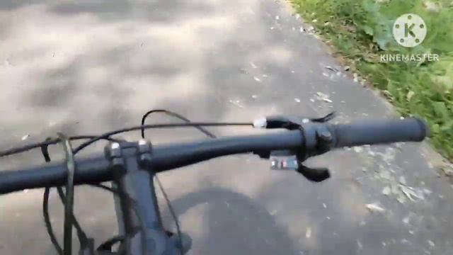 парк подниколье смотреть онлайн