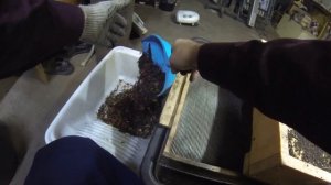 ✅ Доработка сита для облегчения отделения червя и просеивания биогумуса.