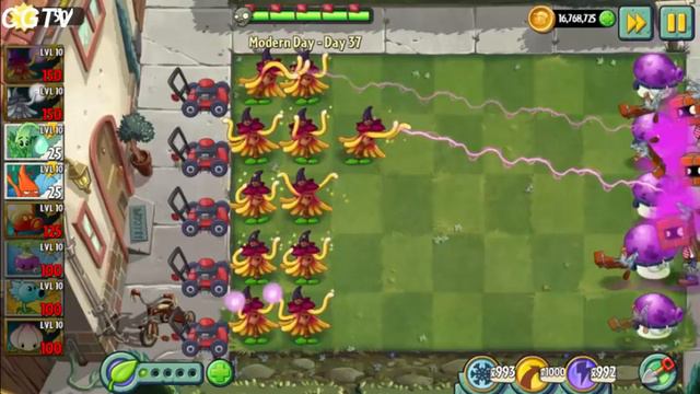 Plants vs Zombies 2 Culipower vs Witch Hazel Who is Better - Premium vs Premium Plants Compare смотреть онлайн
