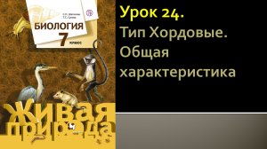 Урок 24. Тип Хордовые. Общая характеристика
