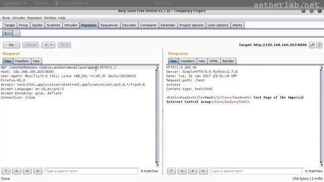 Lesson 36 HTTP header injection смотреть онлайн