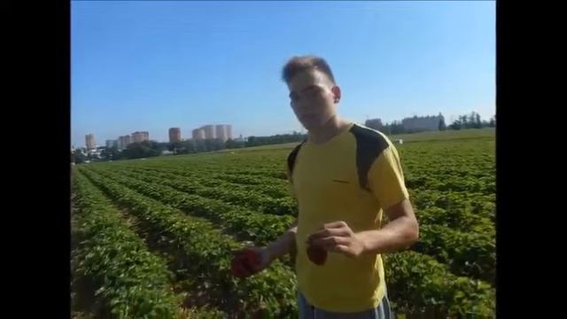 Клубника 2016 смотреть онлайн