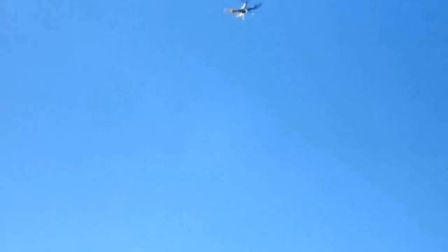 DRONE X31.0 EXPLORERS CAMERA QUADRICOTTERO SYMA MONDO ULTRADRONE camera смотреть онлайн