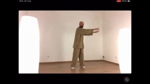 Цигун.Большой небесный круг, 12 меридианов.