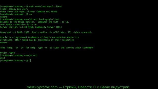 Centos 8 не работают команды cli из snap приложений смотреть онлайн