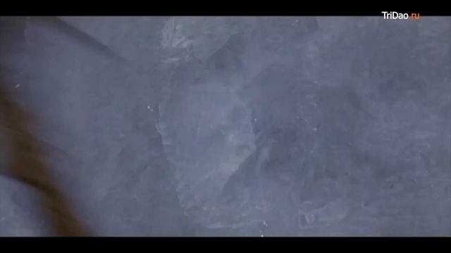 Philip Glass - Koyaanisqatsi | Fighter in the Wind - Воин ветра смотреть онлайн