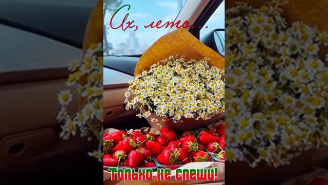 Ах, лето, только не спеши!!! смотреть онлайн