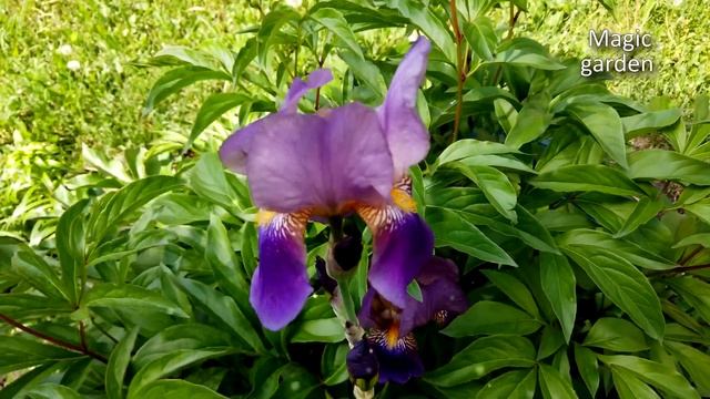 Сборник музыки Сергея Аверьянова. смотреть онлайн