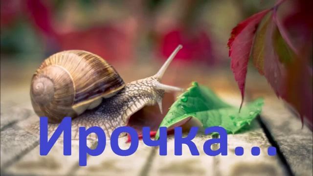 Улитка Ирочка... смотреть онлайн