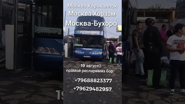 москва-ташкент москва-бухара прямой рейс автобус смотреть онлайн