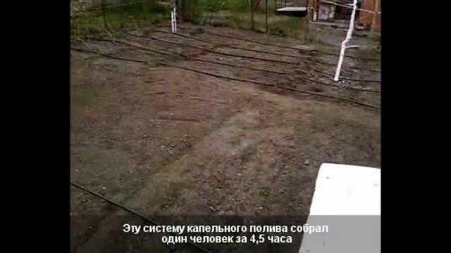 Капельный полив своими руками на даче смотреть онлайн