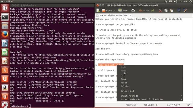 Install JDK on Linux (Ubuntu - x86) смотреть онлайн