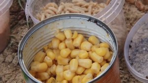 С фидером на малой реке : На рыбалку с Нормундом #27