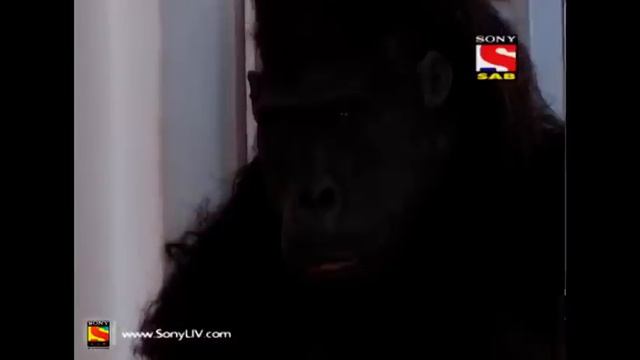 Baal Veer - बालवीर - Episode 633 - Golu Gorilla In Prithvi-Lok смотреть онлайн