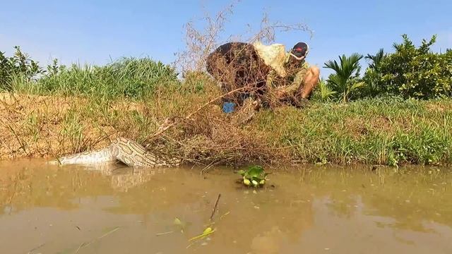 Terrified to discover a giant python monster attacking people in the swamp. - anaconda. смотреть онлайн