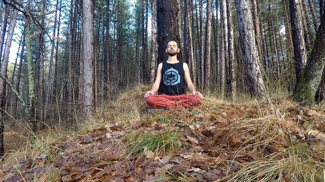 Guided Breathing With Music [CHARGE] (3 Rounds Of Rhythmic Breathwork And Breath Retention/Pranayam