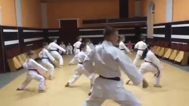 Ката такіоко - шодан смотреть онлайн