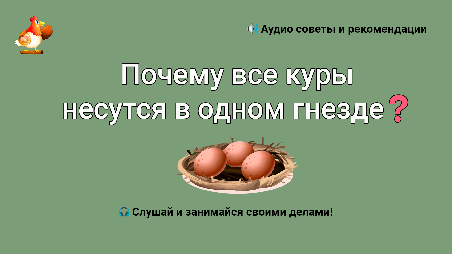 Почему все куры несутся в одном гнезде и что делать смотреть онлайн